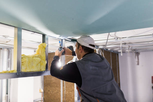 Best Insulation Materials and Products in Hornsby Bend, TX