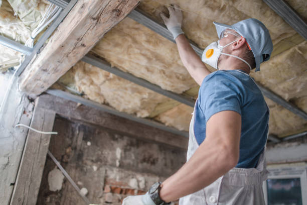 Best Insulation for Specific Applications in Hornsby Bend, TX
