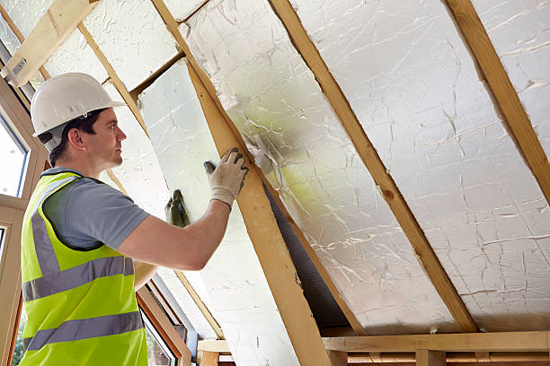 Best Types of Insulation in Hornsby Bend, TX