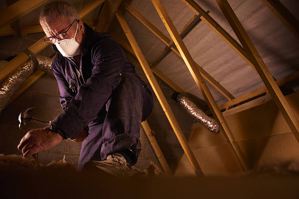 Best Insulation Installation Services in Hornsby Bend, TX